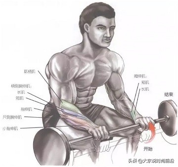 减脂午餐一周安排表,减脂健身计划一周表图