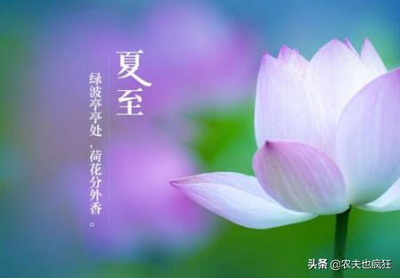 夏至三庚数头伏怎么说呢,夏至三更数初伏是啥意思