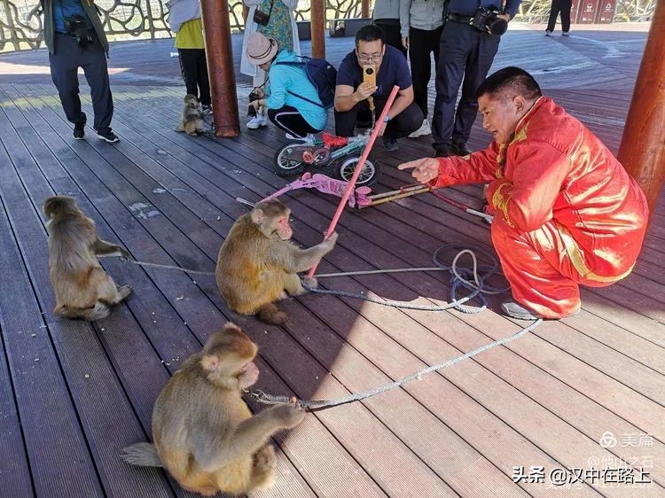 汉中户外遛娃好去处排行榜,汉中遛娃旅游景点有哪些