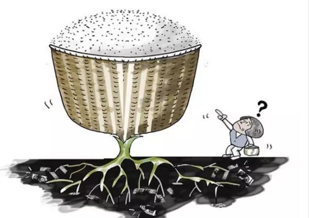 无土栽培技术视频免费,蔬菜无土栽培技术视频