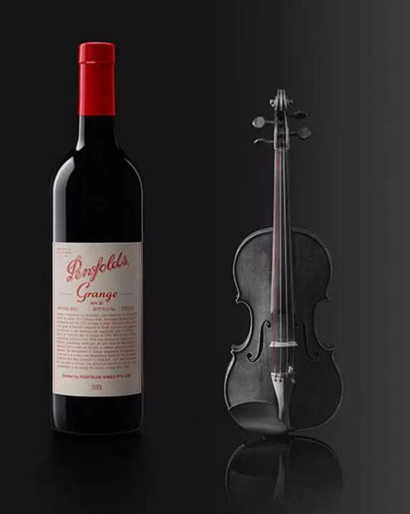 奔富的BIN707、407、389这些数字到底什么意思