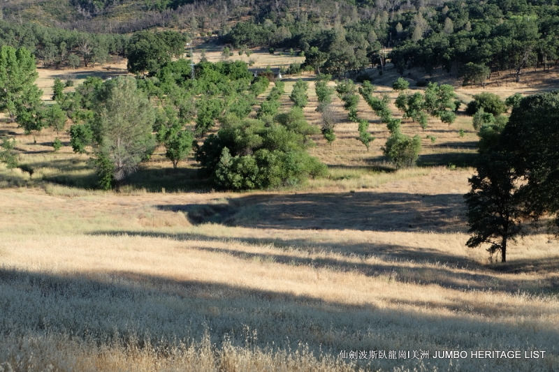 第3045回：人生一世草生一春，来如风雨去似微尘
