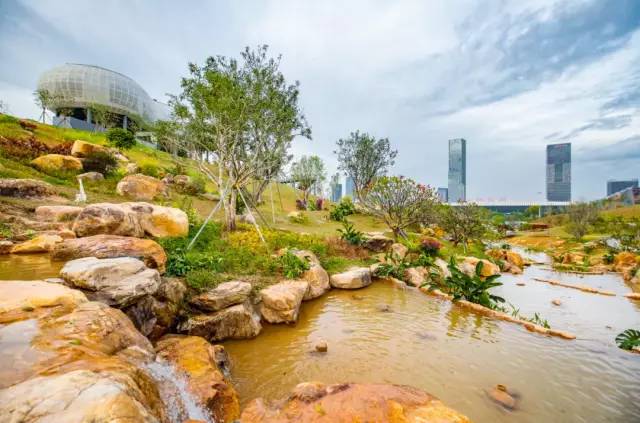 深圳北站中心公园现状,深圳北站中心公园风景