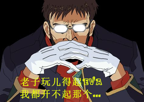 薛定谔的猫实测,欧拉白猫小野猫试驾