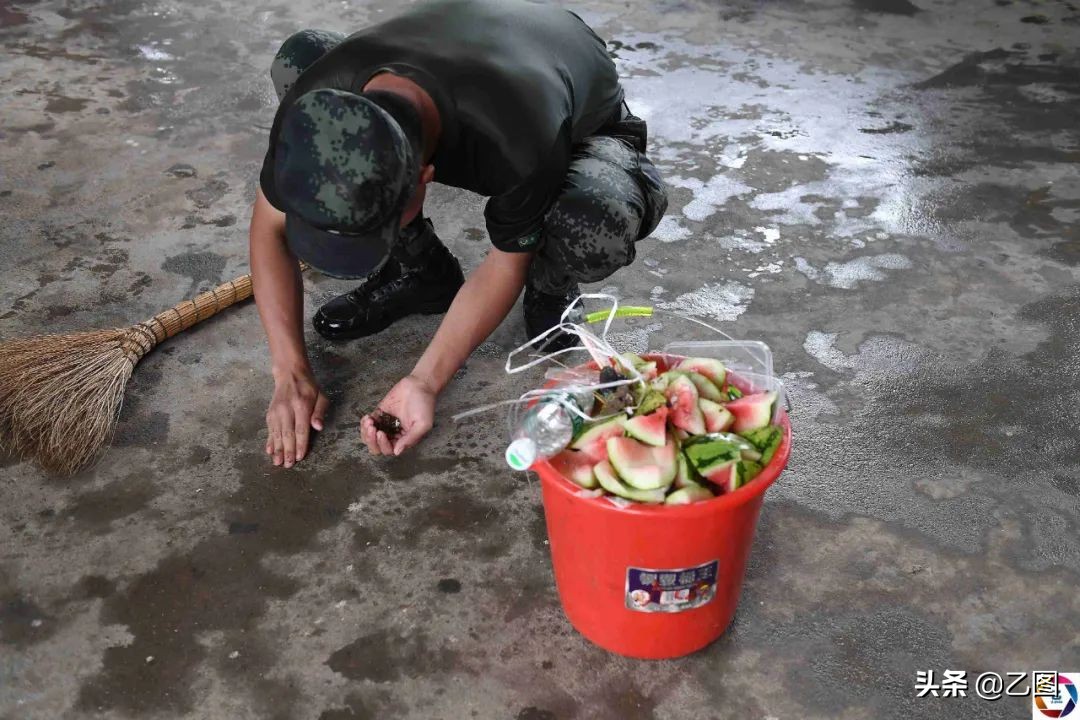 摄影师盘点2020年照片,摄影师们珍藏了50年的图