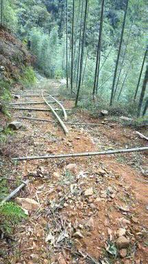 搞笑gif狗子我为这个家操碎了心,搞笑gif图片狗子都开始学坏了