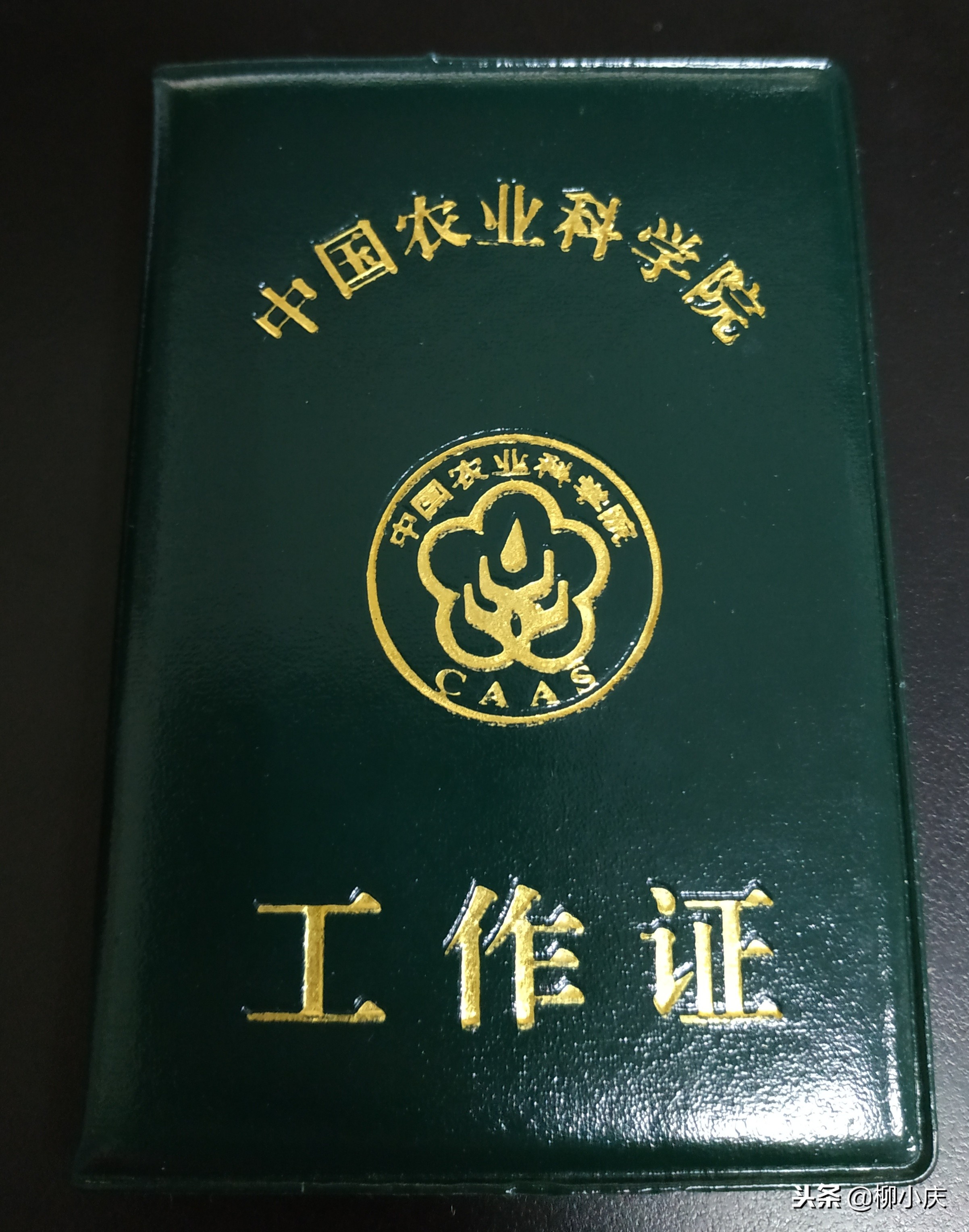 农业农村食堂转基因食品,张桃林讲转基因