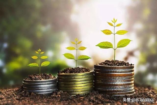 投资学精要知识点,投资学精要