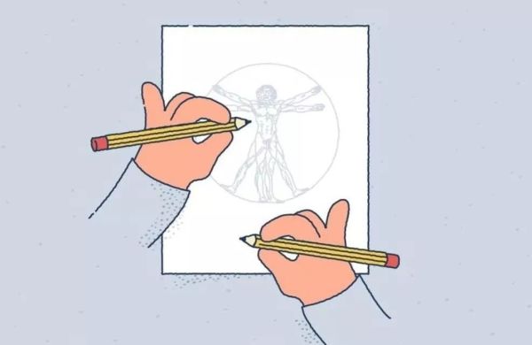 袋鼠有二个子宫,袋鼠有三个育儿袋