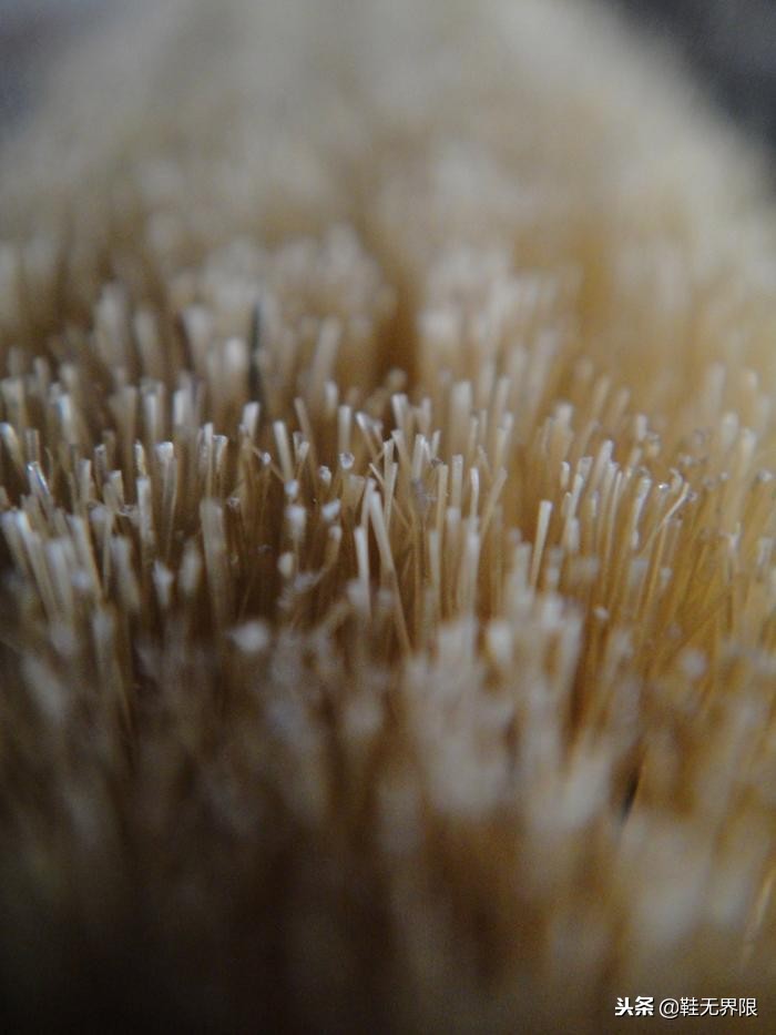 每双球鞋都值得被珍惜，最强球鞋清洁帖来了！拯救屎黄色鞋底把！