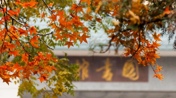 山东师范大学院校,山东师范大学简介