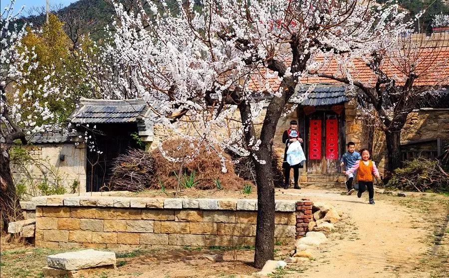 春分送你最美的祝福,春分是春暖花开的季节