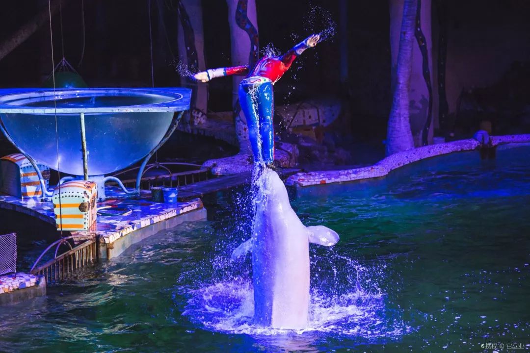 来大连必去的圣亚海洋世界,游玩攻略潮玩街区大连高新万达