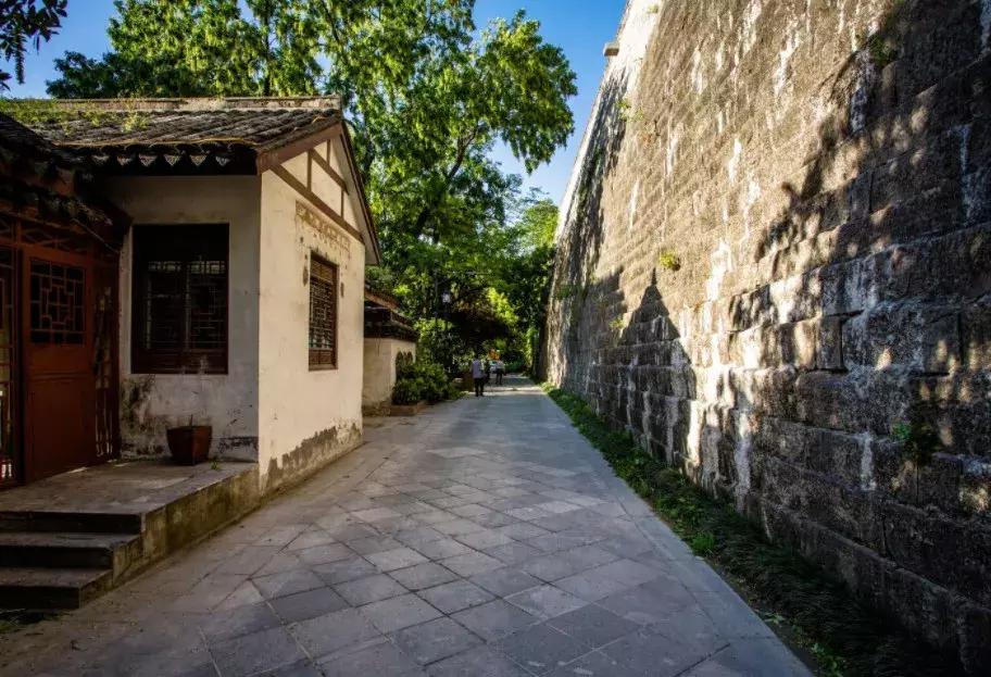 太全了,南京人少景美的免费公园