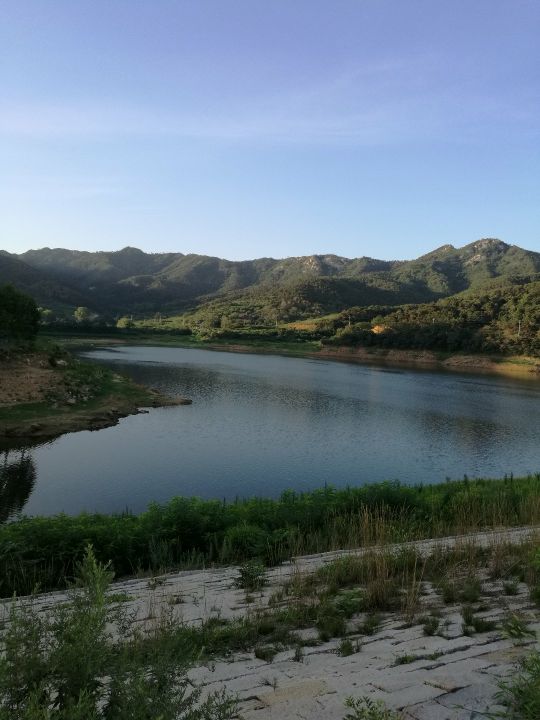 世外桃源鸟语花香好地方,世外桃源环境优美