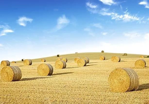 农业为何要搞众筹？筹钱、筹人、筹资源（附4个案例）