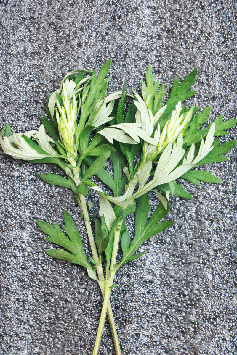 端午节割艾有什么讲究,端午节挂艾的讲究