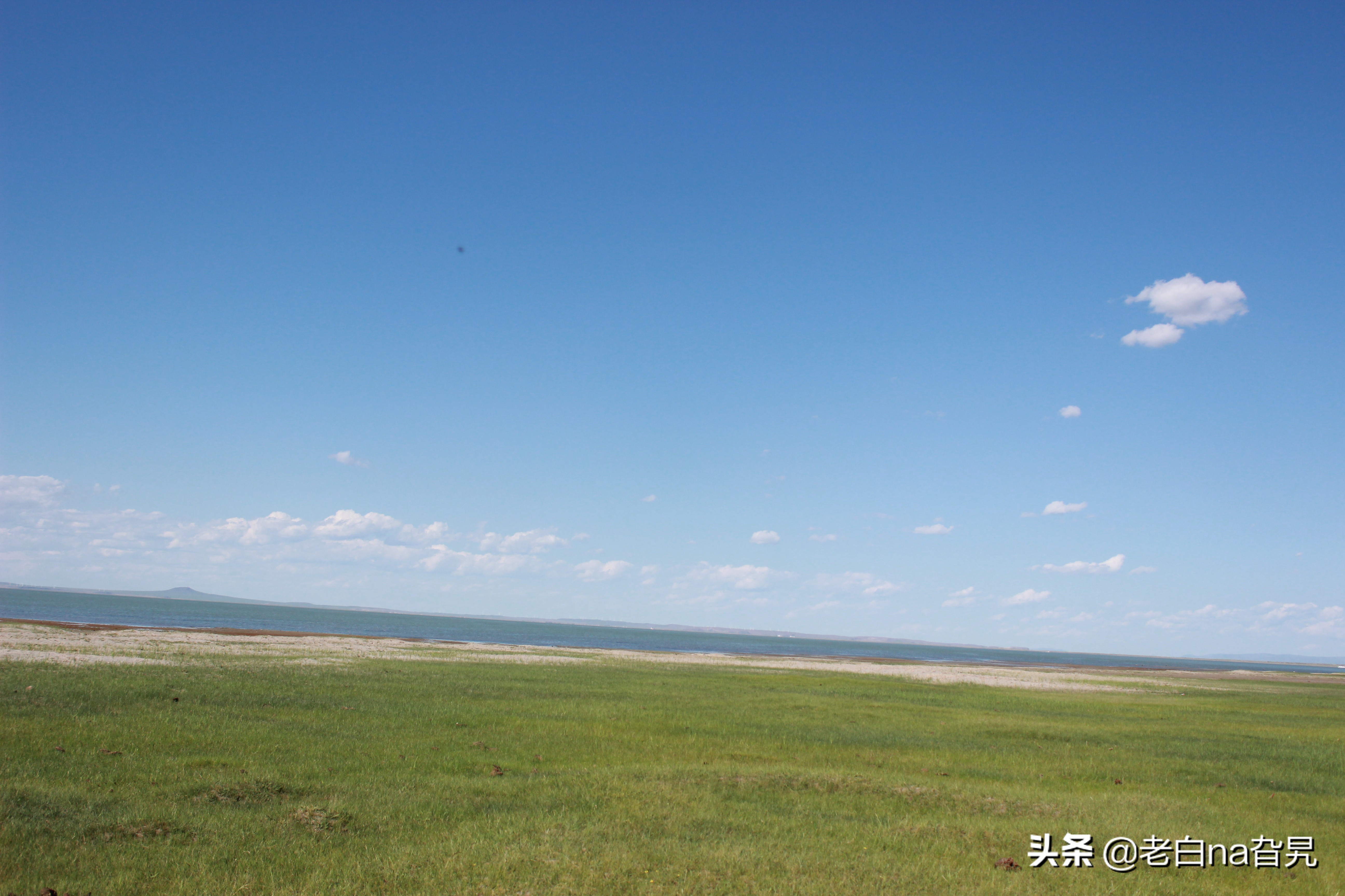 达里诺尔湖早上的风景,达里诺尔湖四大名湖