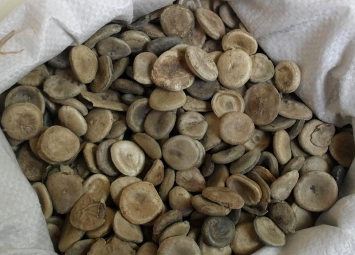 马钱子的前世今生：宫斗剧中的热门毒药，竟是治腰痛良药