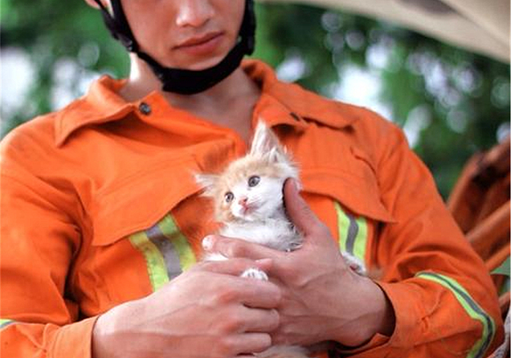 流浪狗被骨头卡住了,可怜的流浪狗脖子被铁丝卡住了