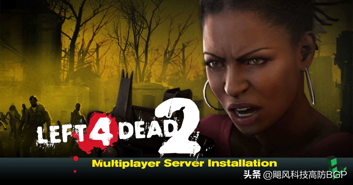 求生之路怎么加入第三方服务器,求生之路杀戮世界服务器