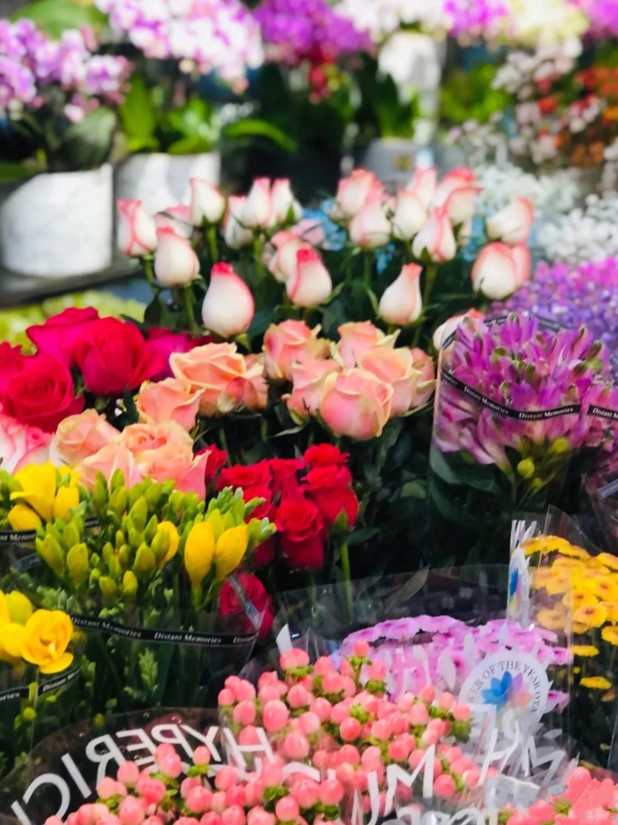 上海的热搜,最近热搜的上海