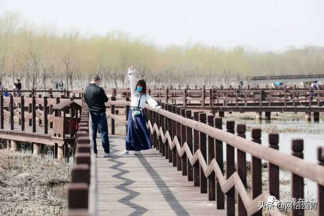 天津新开放的公园,天津水西公园现在恢复开放了吗