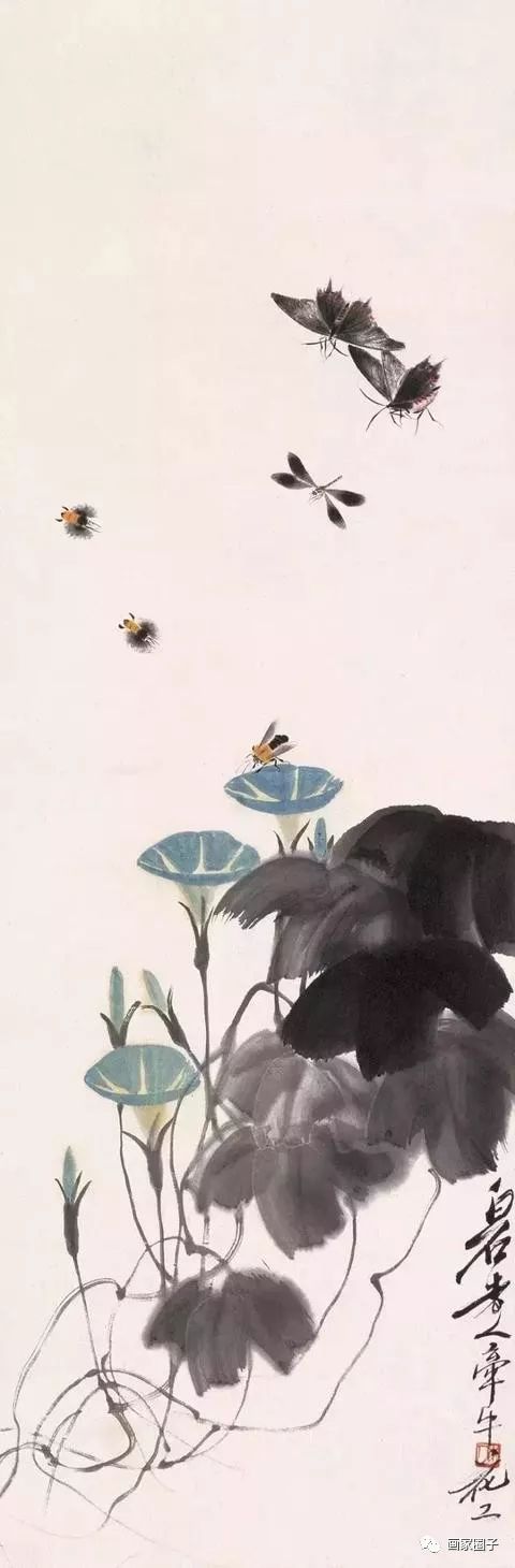 100种漂亮花卉图片,100张漂亮花图