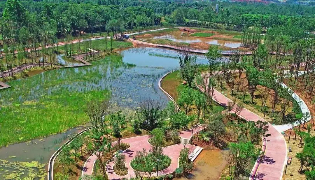 3月底天府绿道哪段最美,天府绿道介绍及特点