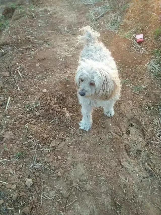 散文今夜我静静的想你,散文今夜我想你