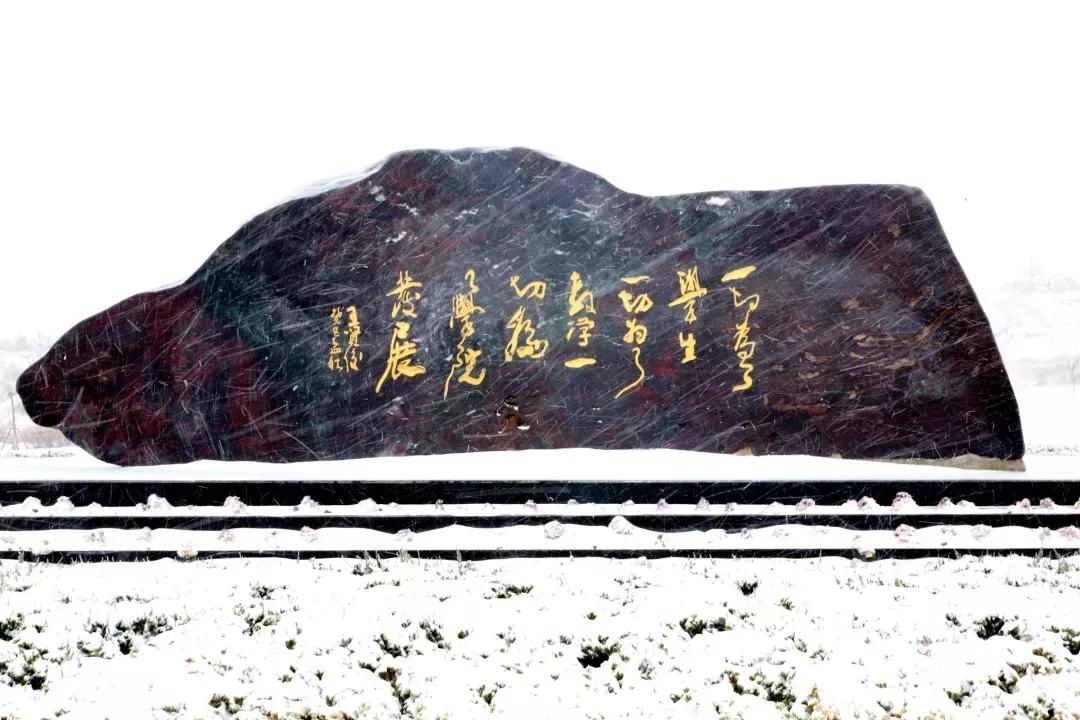 民办学校大连艺术学院全国排名,大连艺术学院辽宁排名