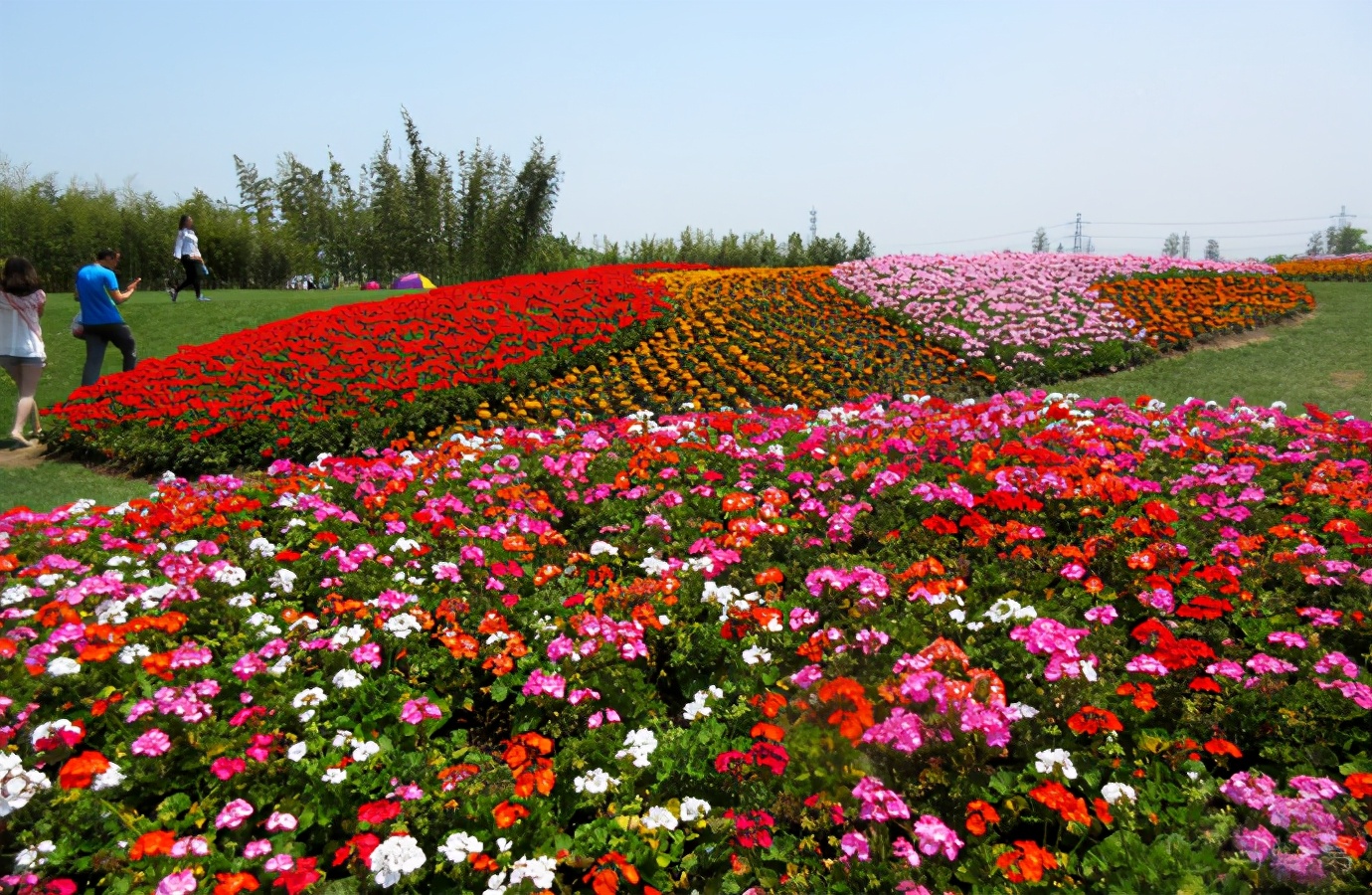 去上海旅游最值得去的地方,上海旅游攻略值得去的地方