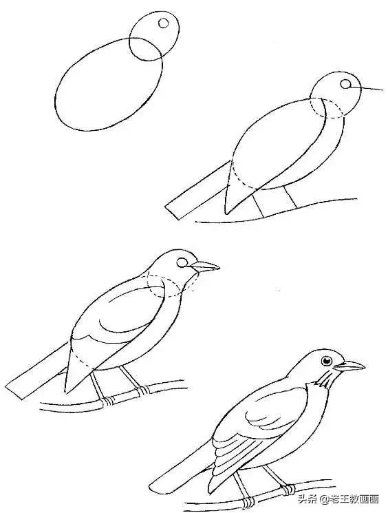 最简单的简笔画教程,超简单儿童简笔画入门初学