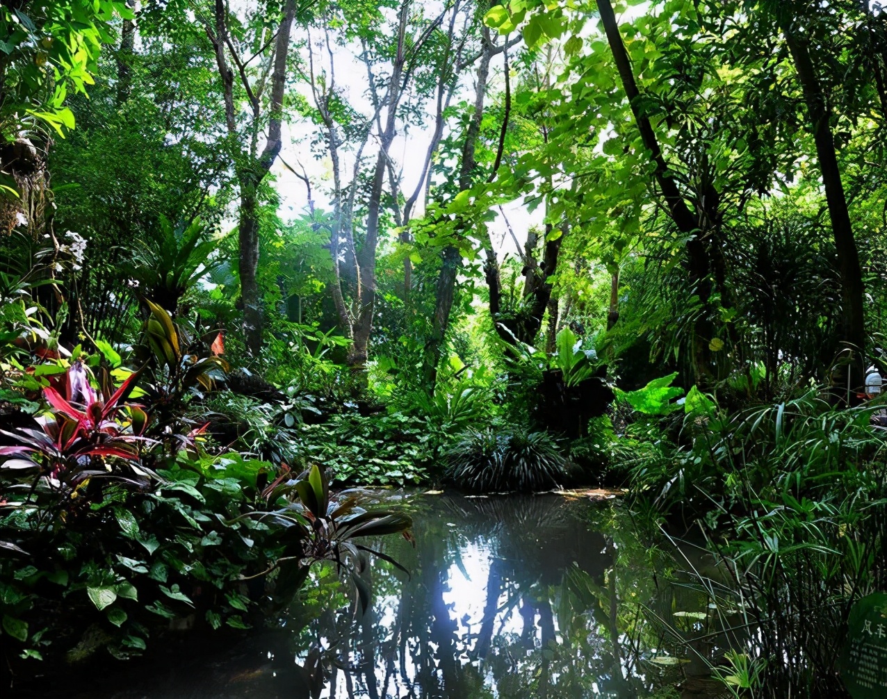 三亚的旅游攻略最细最全,三亚自由行旅游攻略超详细哦