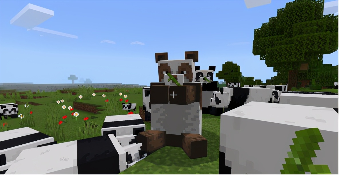 我的世界熊猫吃什么会繁殖,我的世界熊猫怎么繁育出特殊熊猫