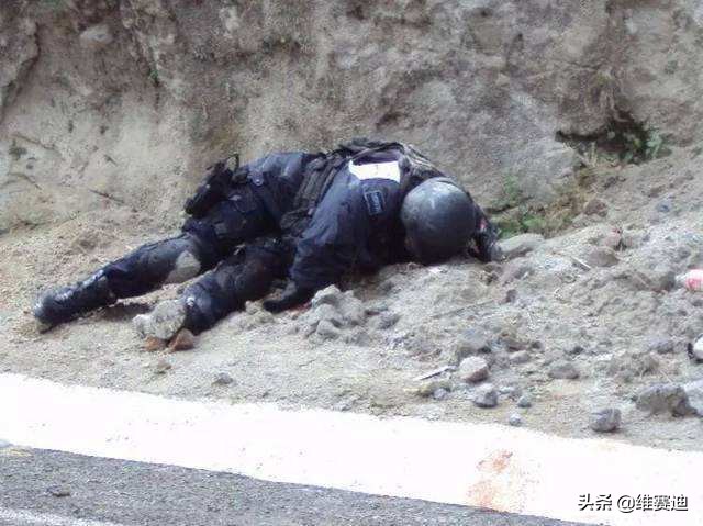 日本女星酒井法子彻底失业八卦,曾经的亚洲一姐酒井法子