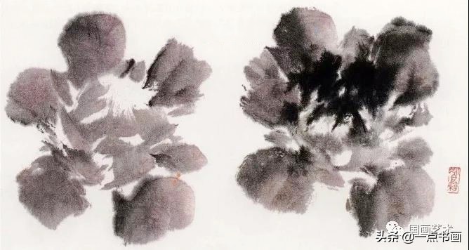 萧朗教你画花卉牡丹芍药画法,写意画牡丹叶画法教程