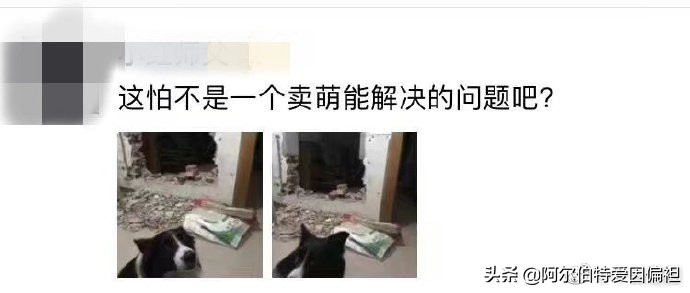 关于女生玩游戏的搞笑段子,游戏搞笑段子哪里找的