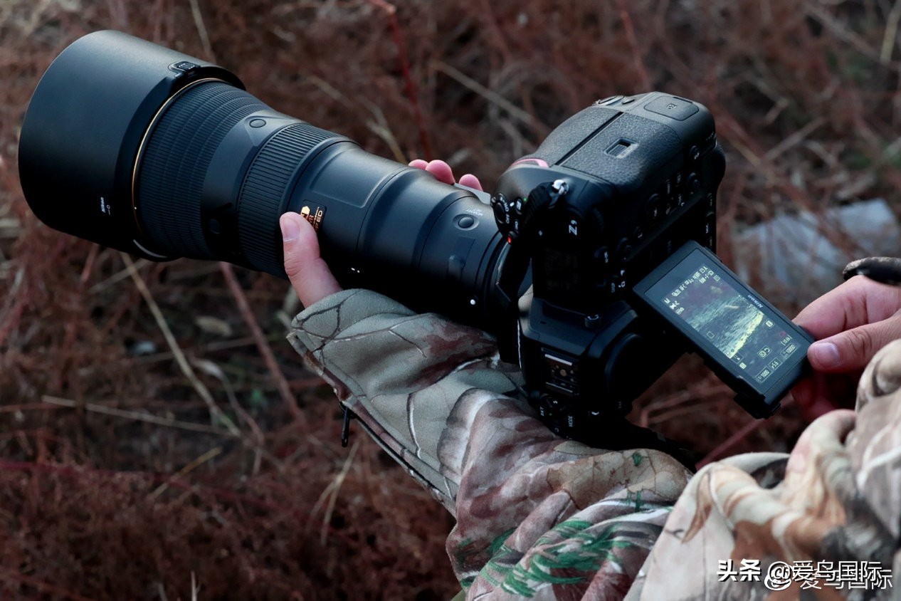 尼康z9有希望更新人像模式吗,尼康z9为什么适合打鸟