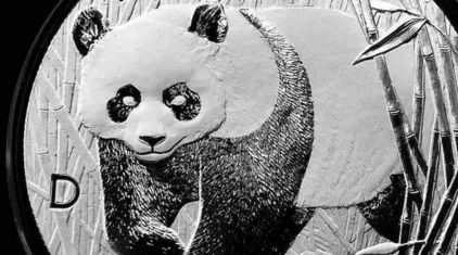 最具升值潜力的熊猫币,熊猫币什么时候成为五大投资币