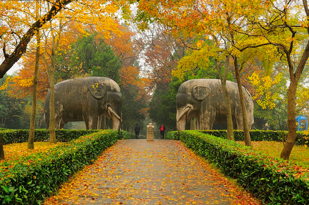 南京旅游夫子庙攻略超详细,南京的著名景点夫子庙在哪条河上