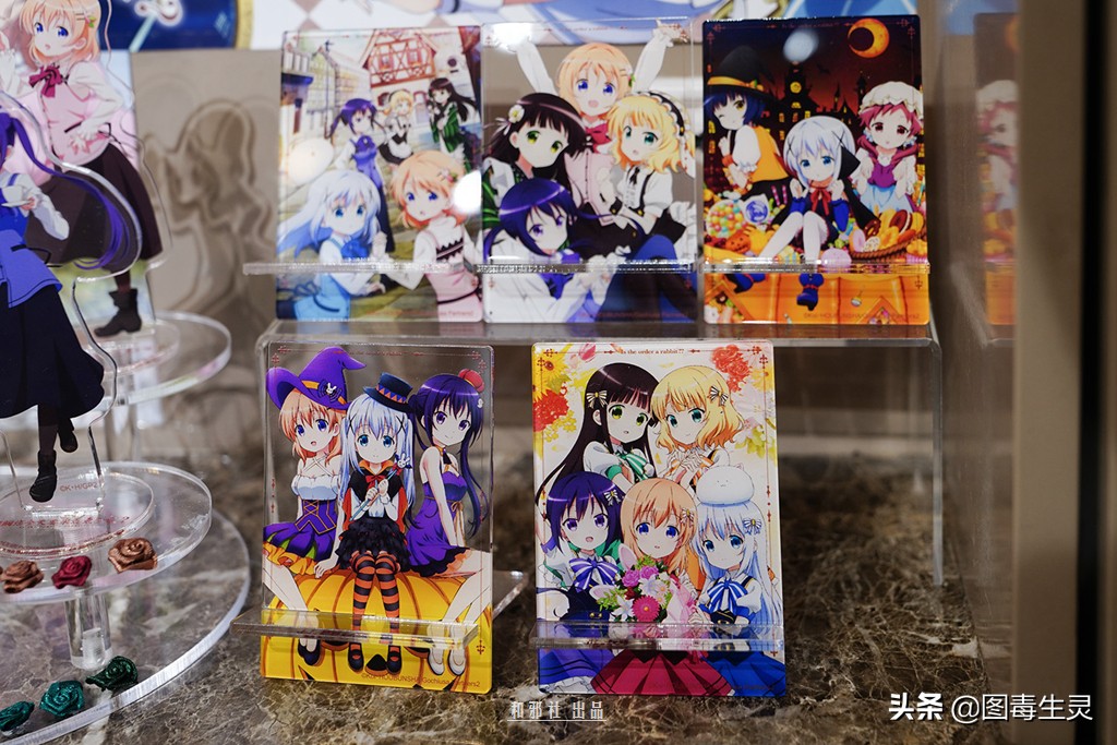 上海外文书店《请问您今天要来点兔子吗？？》主题限定店体验