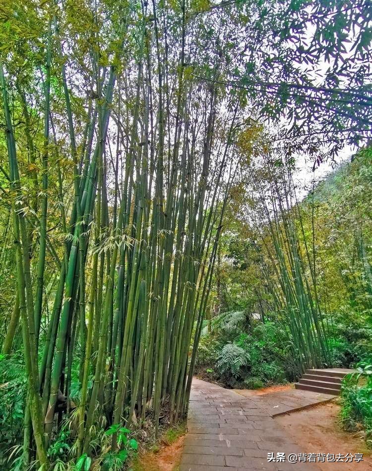 贵州值得玩的景区排名前十名,贵州旅游景点必玩的景区推荐