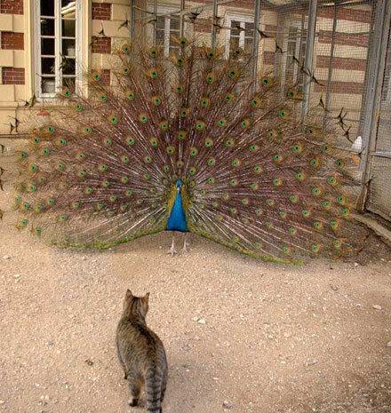 最奇葩的梦话是什么,你听说的最搞笑的梦话