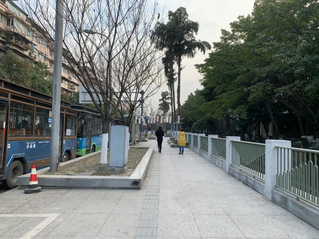 成都绿道风景美如画,成都周边哪条河边绿道最美