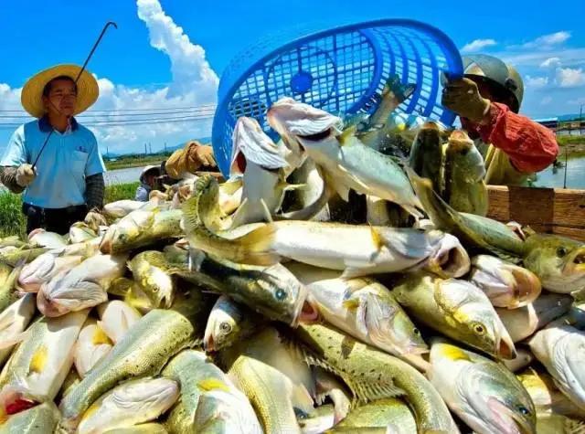 你好，我叫珠海，请收下我2021版新名片，带你了解新的珠海！