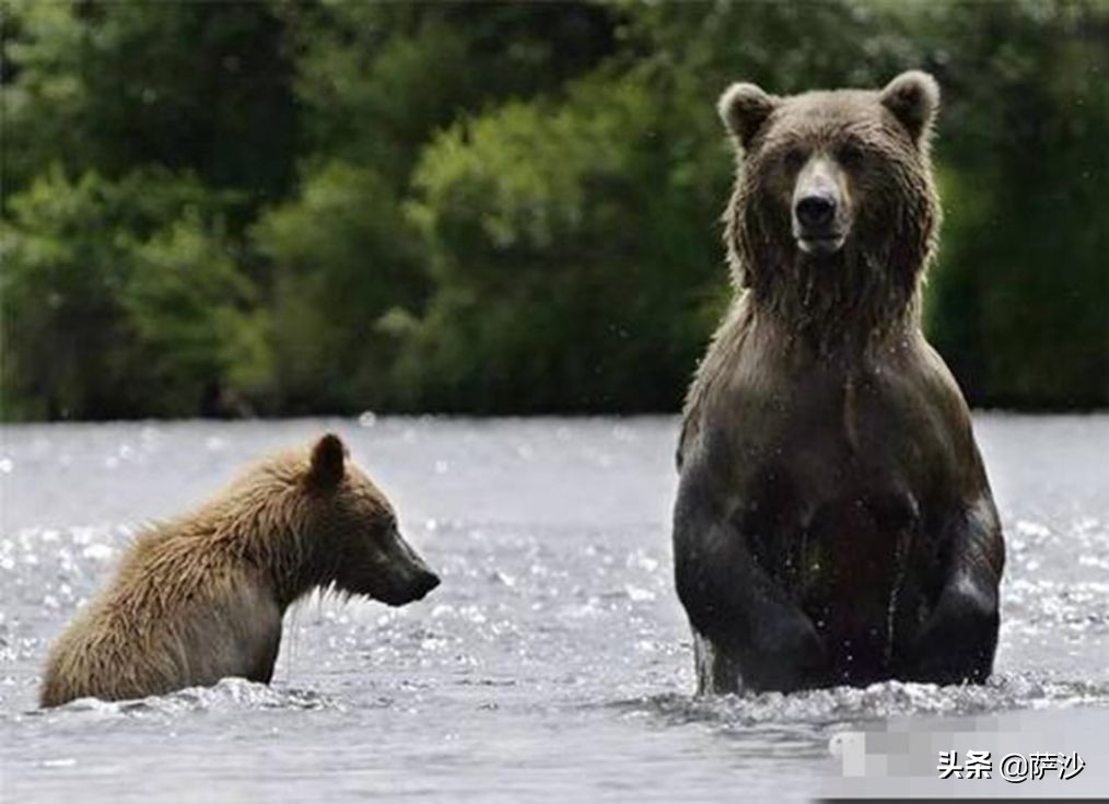 1867年购买阿拉斯加,1867年阿拉斯加