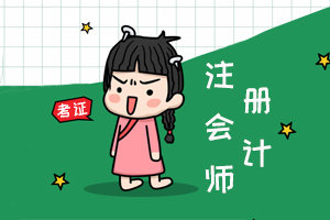 2018注册会计考试模拟题,2023年注册会计师考试试题