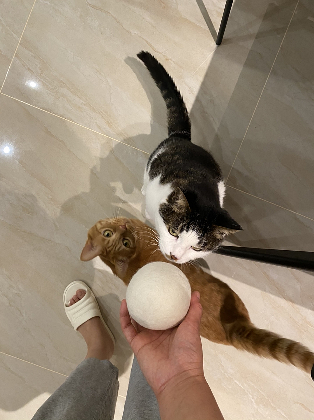 最近三年家中建议必备的八件物品,近三年家里常备的12样东西