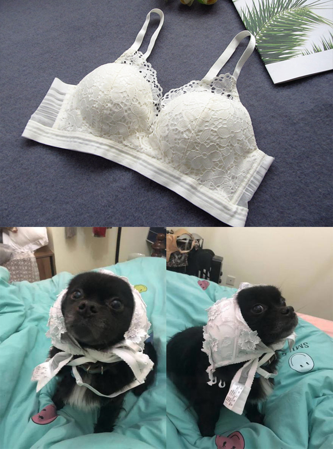 双十一过后又一波笑死人的买家秀,双十一收到的奇葩货